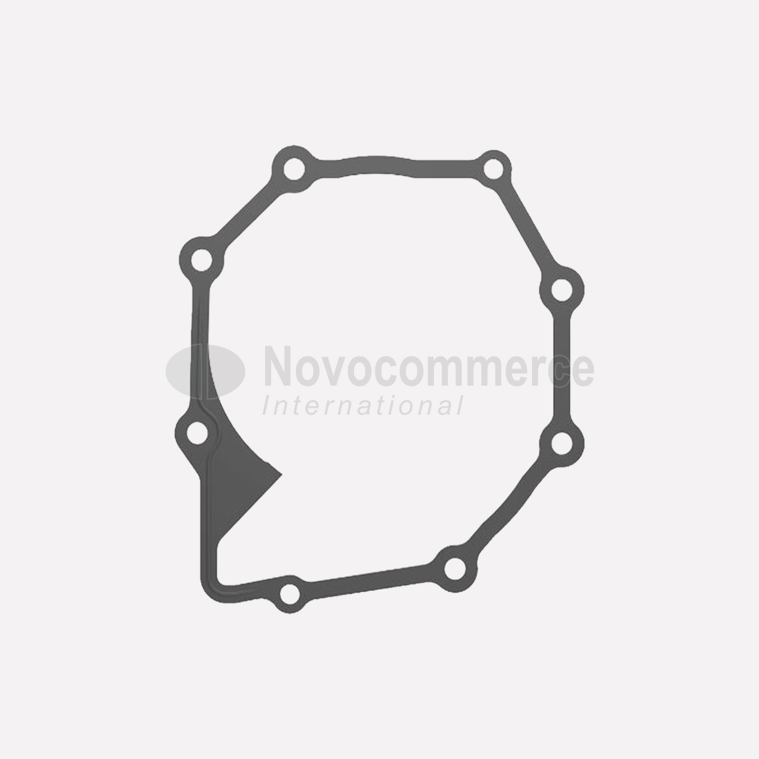 R123417-BRTVA-PUMPE-VODE-MOTORA-2