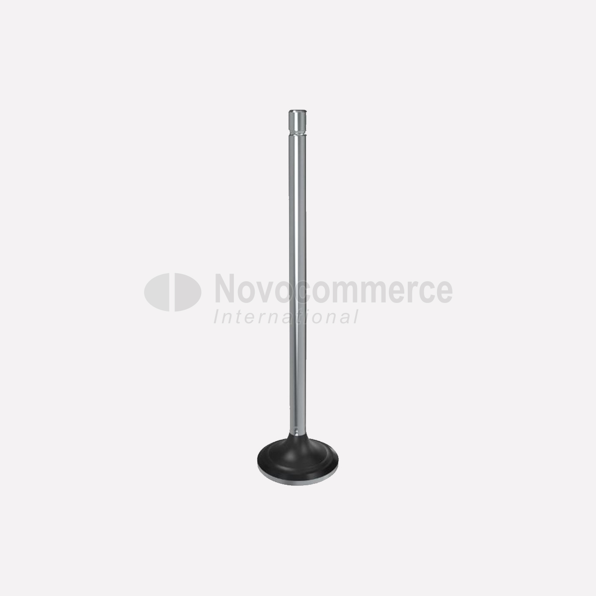 R520224-VENTIL-GLAVe-MOTORA-ISPUSNI-1