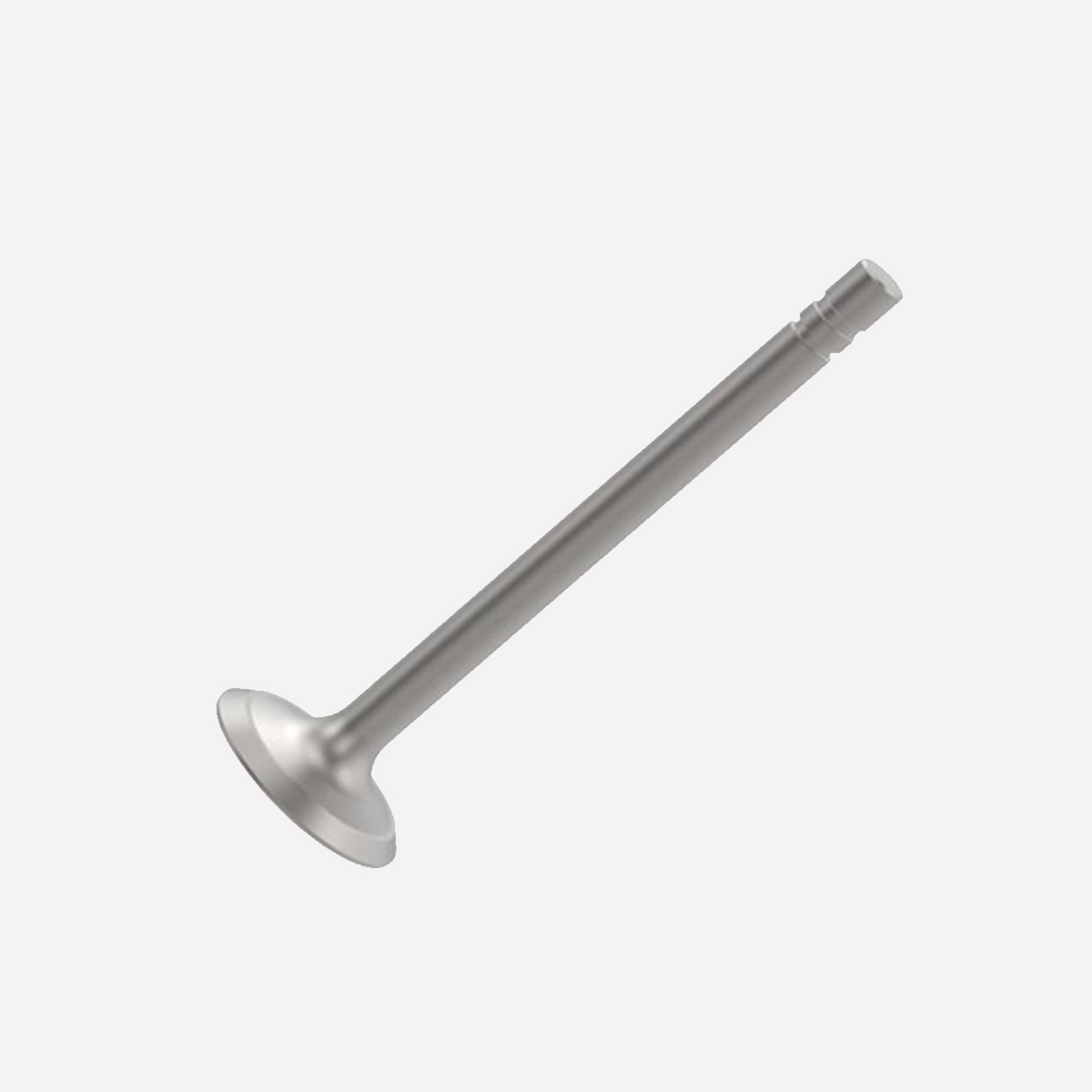 R79624 – VENTIL ISPUHA MOTORA – STD